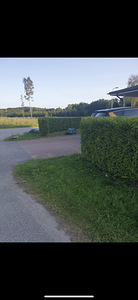 Muru niitmine ja võsa pügamine (3 foto / 5)