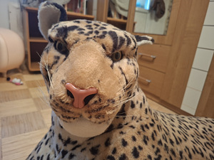 Leopardimänguasi (3 foto / 6)