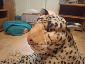 Leopardimänguasi (6 foto / 6)