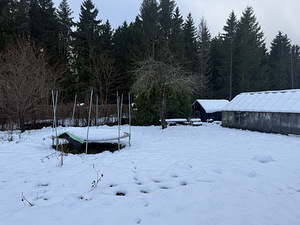 Martsalahe AÜ 12, Martsa, Toila vald, Ida-Virumaa (6 foto / 43)