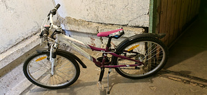 Jalgrattas Primadonna Classic 24 (2 foto / 8)