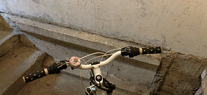 Jalgrattas Primadonna Classic 24 (3 foto / 8)