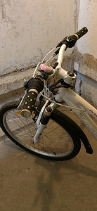 Jalgrattas Primadonna Classic 24 (4 foto / 8)