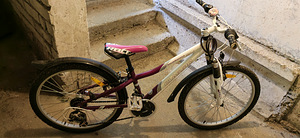 Jalgrattas Primadonna Classic 24 (7 foto / 8)