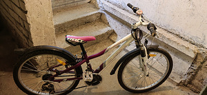 Jalgrattas Primadonna Classic 24 (8 foto / 8)