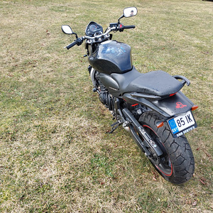 Honda hornet (5 foto / 6)