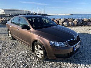 Skoda Octavia hästi hooldatud ja väga heas korras 188000km (1 foto / 13)