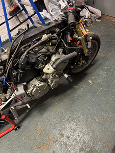 Honda cbr600 (4 фото из 5)