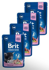 Brit корм для кошек (фото #1)