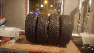 Talverehvid R14 (3 foto / 3)