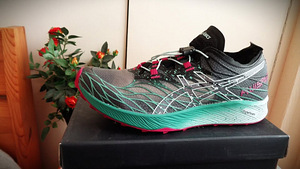 Р..41( 26см)-ASICS FujiSPEED active run (3 фото из 9)