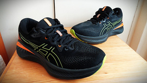 Р 43-43.5 (27.5см) - ASICS Gel CUMULUS*25 GTX. (4 фото из 10)