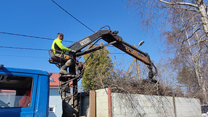 Arborist, ohutu langetamine, puuhooldus, haljastus (4 foto / 4)