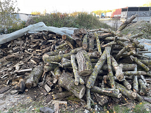 Küttepuud, küttepuu (3 foto / 3)