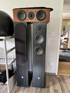 DLS R66 hifi põrandakõlarid (2 foto / 2)
