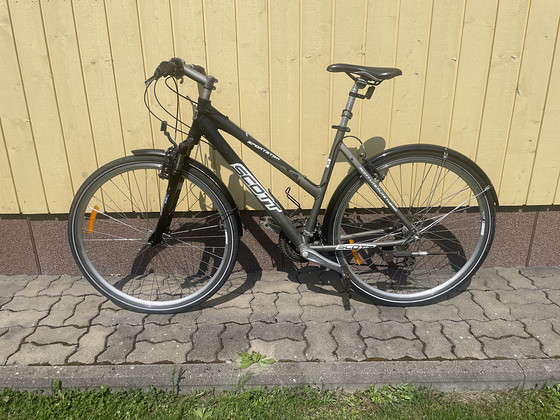 Scott Sportster P5 hübriidratas M