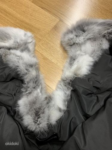 Kasukas (küülik), S suurus / Natural fur coat (rabbit) (foto #7)