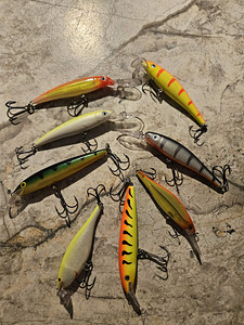 Rapala ja Jessy landid (1 foto / 1)