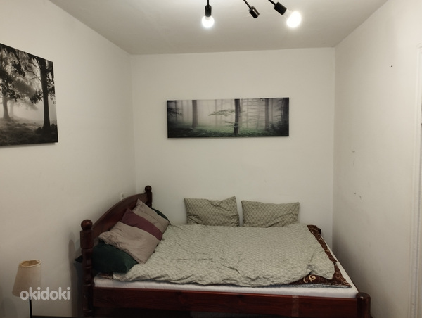Üürile anda ühe magamistoaga korter omanikult (foto #4)
