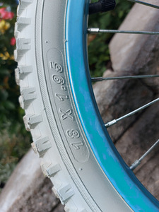 Jalgratas 18" tolli (3 foto / 3)