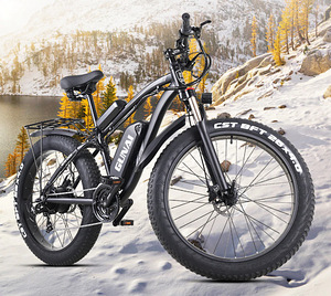 GUNAI MAASTIKU ELEKTRIRATAS FATBIKE (9 foto / 10)