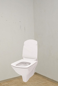 WC remont (1 foto / 1)