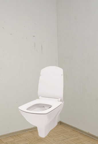 WC remont