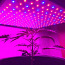 Фитолампа (LED светильник для выращивания растений) (фото #1)
