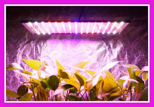 Üliõhuke taimede LED-lamp, fütolamp (4 värvi) (1 foto / 6)