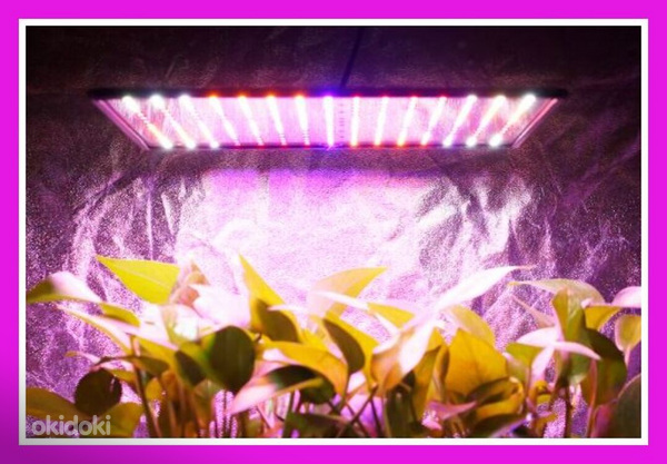 Üliõhuke taimede LED-lamp, fütolamp (4 värvi)