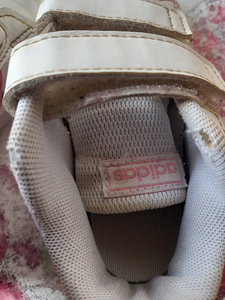 Adidase tossud r.24 (7 foto / 7)