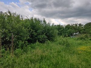 Aku tn 63, Kudruküla, Narva, Ida-Virumaa (8 фото из 11)