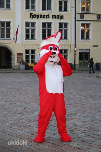Аниматоры из Таллина. Красный Заяц. (фото #3)