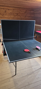 Lauatenniselaud 274 x 152 x 76 (3 foto / 3)