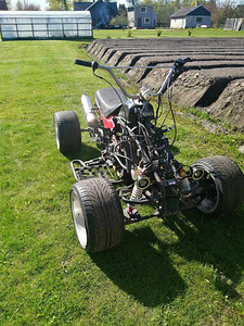 Квадроцикл 250cc (3 фото из 10)