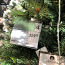 Рождественская елка (фото #2)