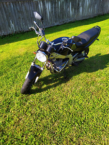 Suzuki gs500 (6 фото из 6)