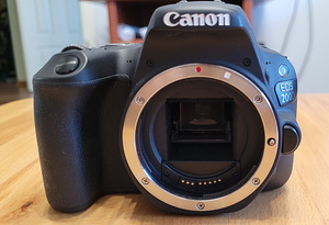 Canon 200D + 18-55mm IS STM f/4-5.6 + 2x Neewer LP-E17 аккумулятора (7 фото из 10)