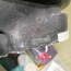Горнолыжные ботинки rossignol 27-27.5 (фото #1)