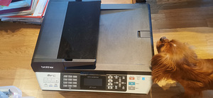 Uus printer (1 foto / 2)
