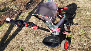Lasteratas, lükatav Smart Trike 4in1 (7 foto / 8)