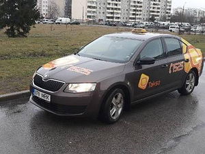 Üürile anda sõiduautod Skoda Octavia (4 foto / 6)