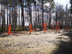 Järve tee 6, Klooga, Lääne-Harju vald, Harjumaa (44 foto / 49)