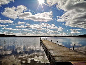 Järve tee 6, Klooga, Lääne-Harju vald, Harjumaa (49 foto / 49)