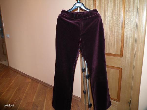 Пиджак и брюки, размер 36 (фото #2)