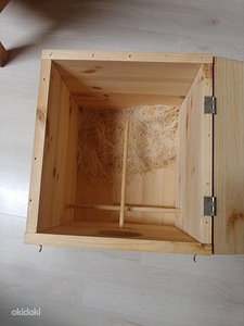 Птичье гнездо (2 фото из 2)