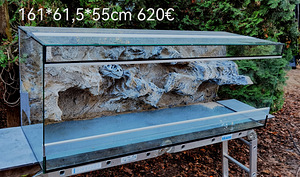 Terraariumid (4 foto / 10)