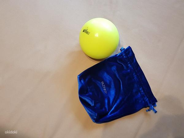 Мяч Pastorelli и сумка для мячей Slonny (фото #1)