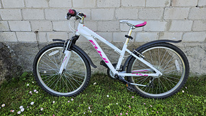Велосипед Fuji Dynamite 2.0, 24'' (2 фото из 3)