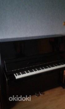 Klaver LENINGRAD (foto #1)